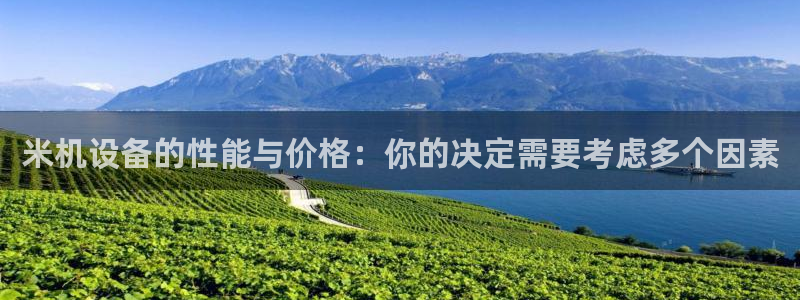 威九国际电子有限公司