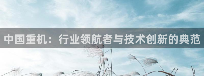 威九国际观看