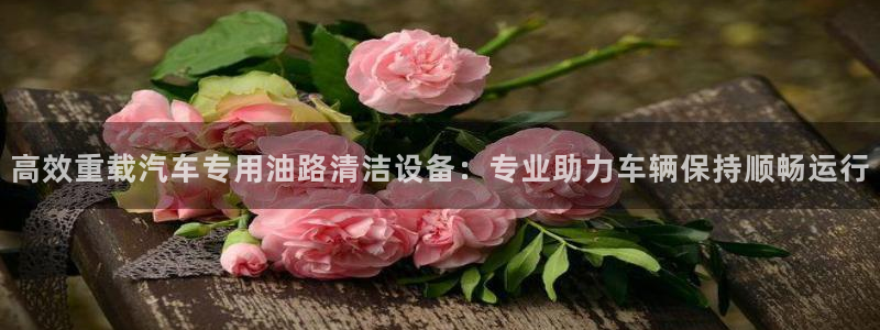威九国际官网在线进入网站查询网址：高效重载汽车专用油路清洁设