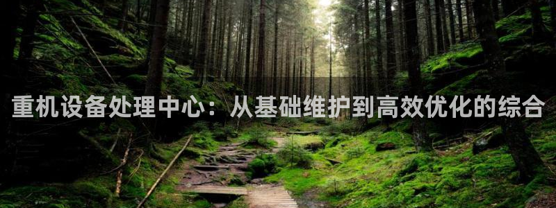 威九国际演员表：重机设备处理中心：从基础维护到高效优化的综合