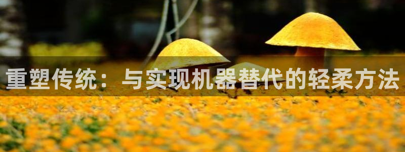 威九国际清砖码