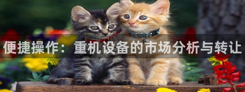 威九国际最近的视频