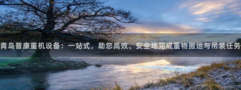 威九国际网站入囗